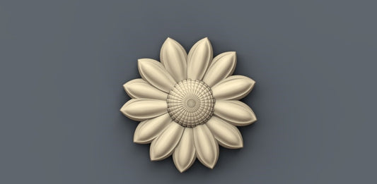 RCT60